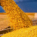 Are there any mutual funds for commodities?